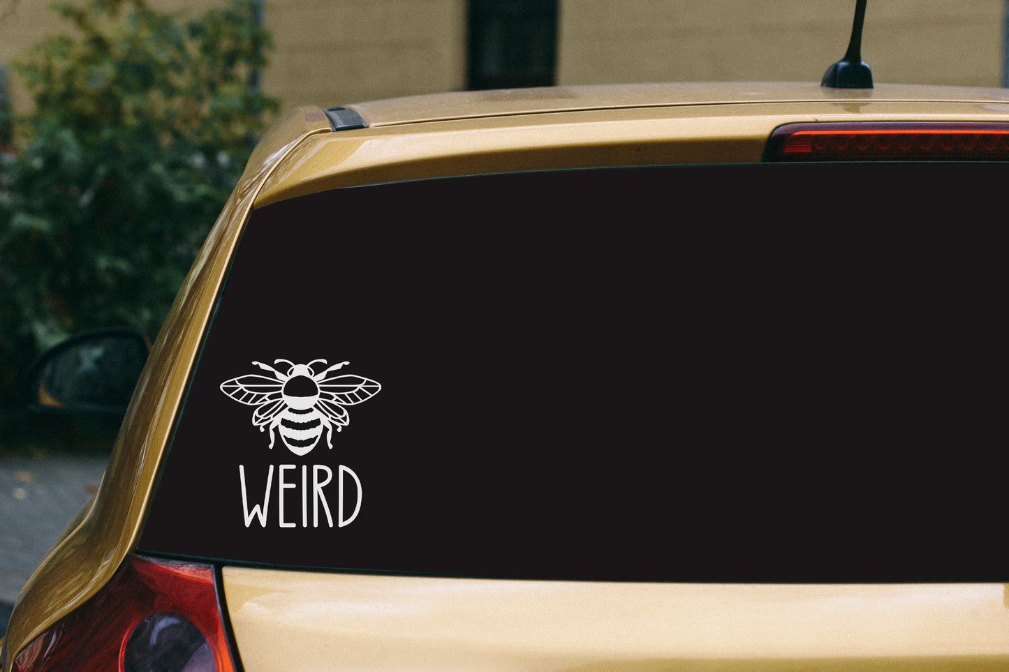 Bee Weird