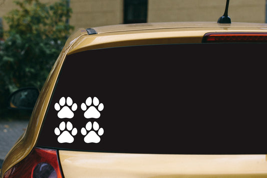 Small Dog Paws