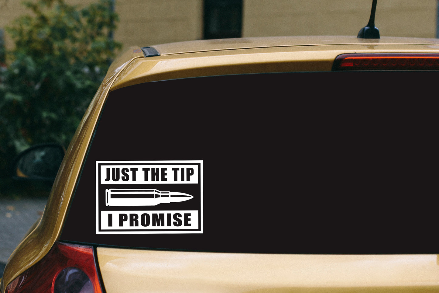 Just The Tip
