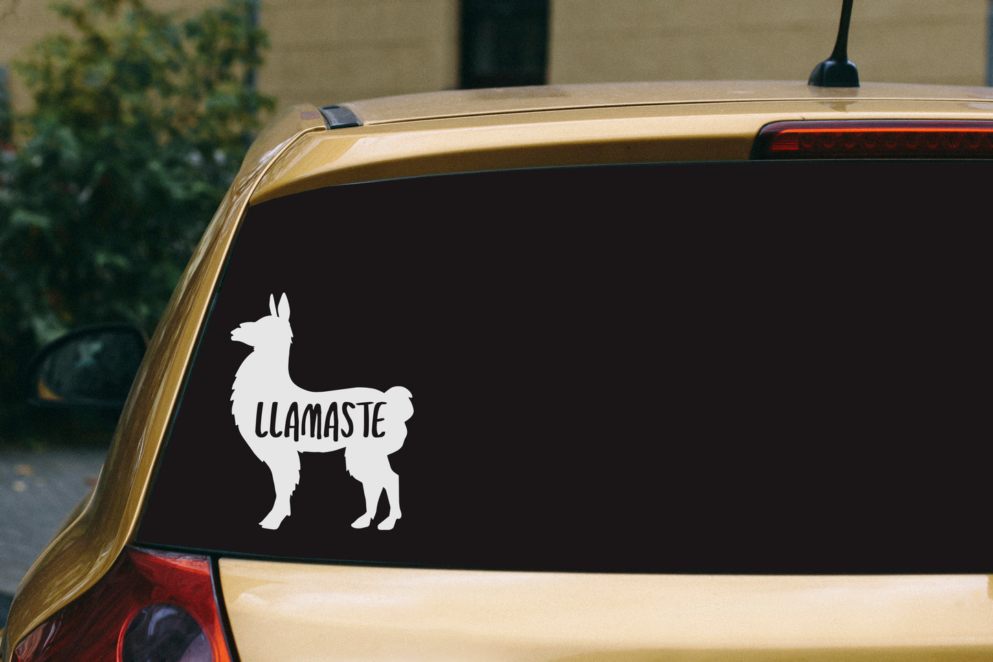 Llamaste