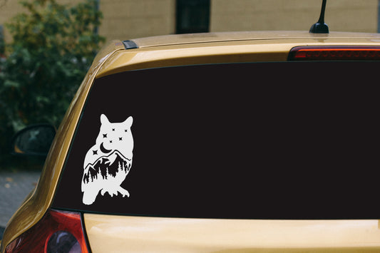 Owl