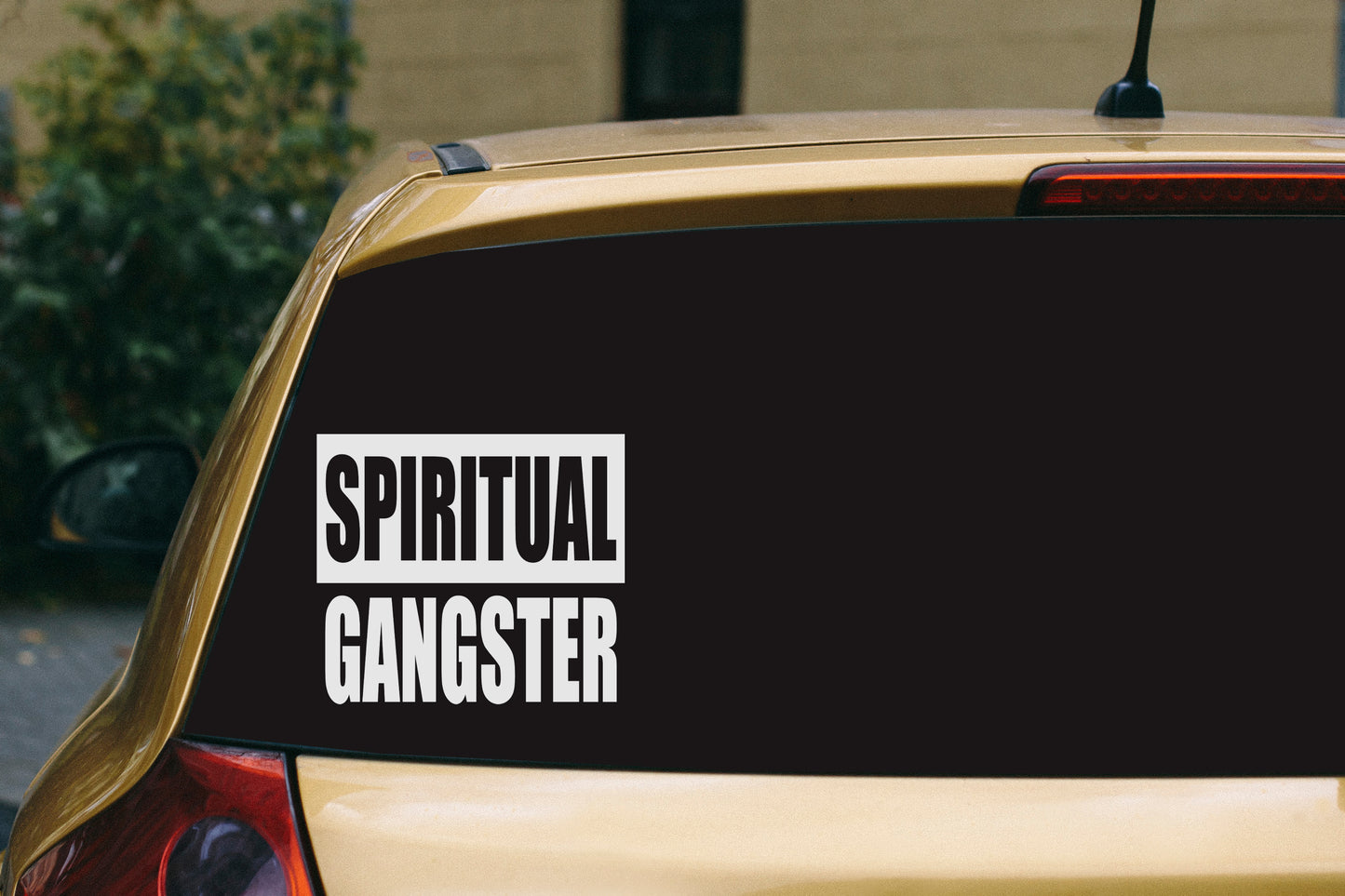 Spiritual Gangster