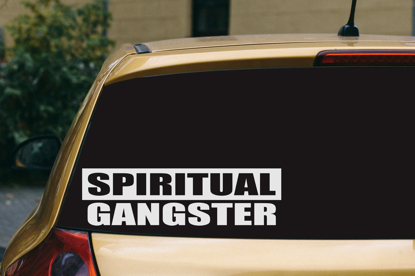 Spiritual Gangster